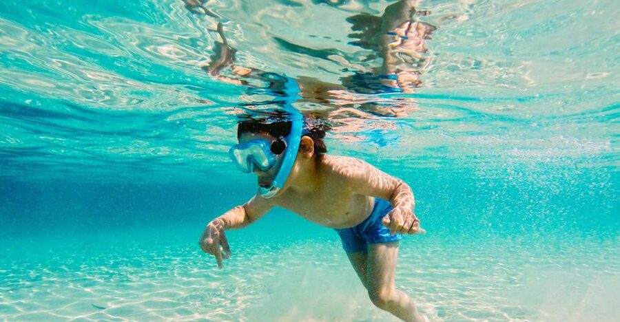 Fort Walton Beach: Morning Dolphin Cruise with Snorkel Stop - The Snorkeling Stop: One Hour in Shallow Water