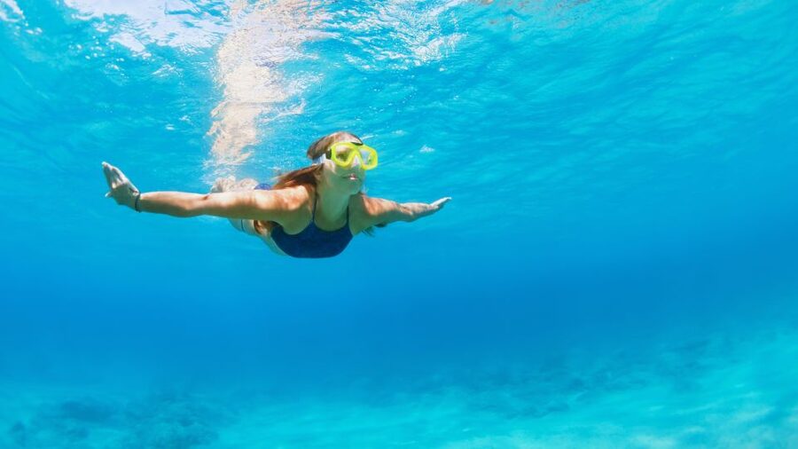 Fort Walton Beach: Morning Dolphin Cruise with Snorkel Stop - Meeting Point and Timing Advice