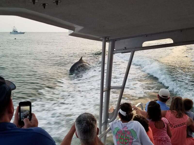 Fort Walton: Dolphin Discovery and Snorkeling Cruise - Key Things To Know Before You Book