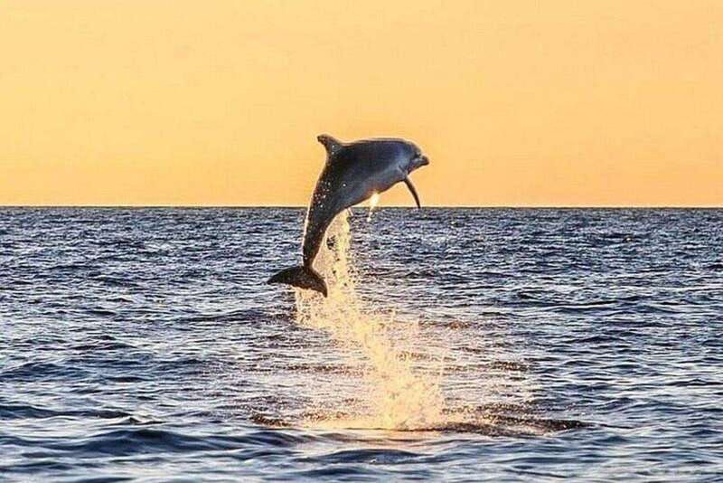 Fort Walton: Dolphin Discovery and Snorkeling Cruise - Snorkeling in Emerald Coast Water