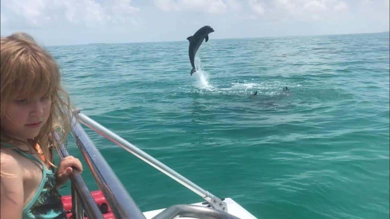 Fort Walton: Dolphin Discovery and Snorkeling Cruise - Who Will Enjoy This Cruise Most?