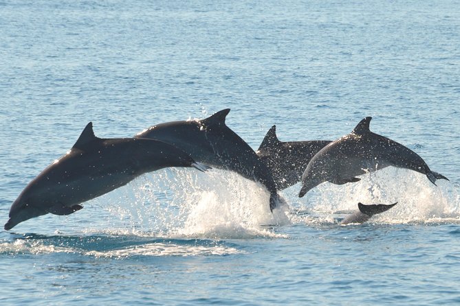 Fraser Island & Dolphin Sailing Adventure - Reaching K’gari and the western shore