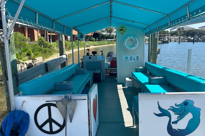 Frisky Mermaid Dolphin Tour + Secluded Beach + Equip - Key Points to Know Before You Book