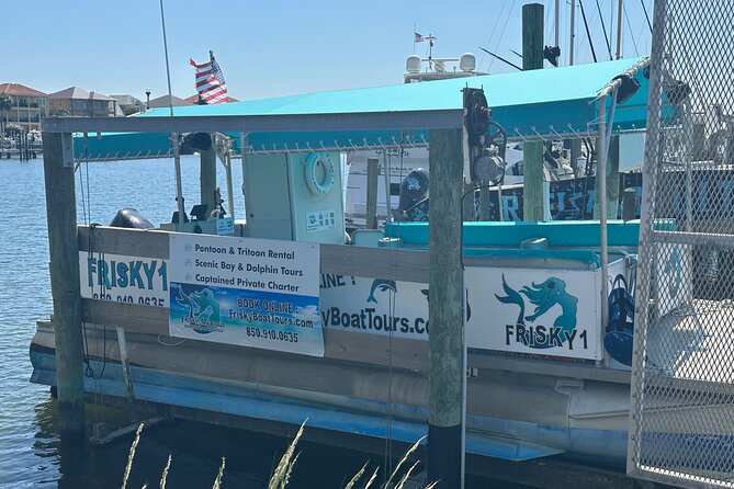 Frisky Mermaid Dolphin Tour + Secluded Beach + Equip - The Secluded Beach Stop and Sand Island Time