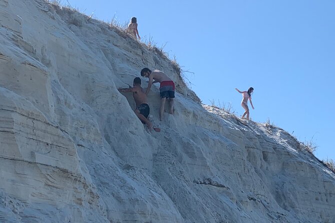 Frisky Mermaid Dolphin Tour + Secluded Beach + Equip - Pensacola History and Marine Life Along the Way