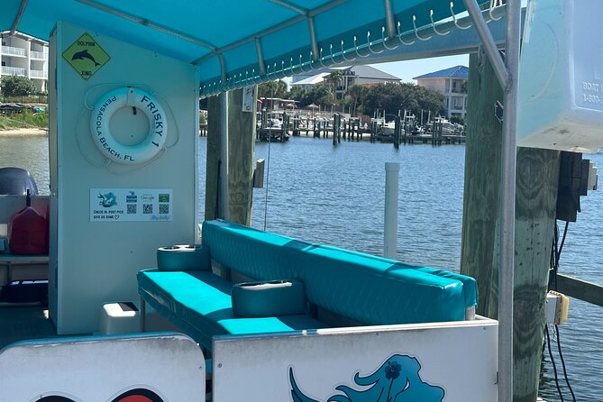 Frisky Mermaid Dolphin Tour + Secluded Beach + Equip - Is $499 a Fair Price for Six People?
