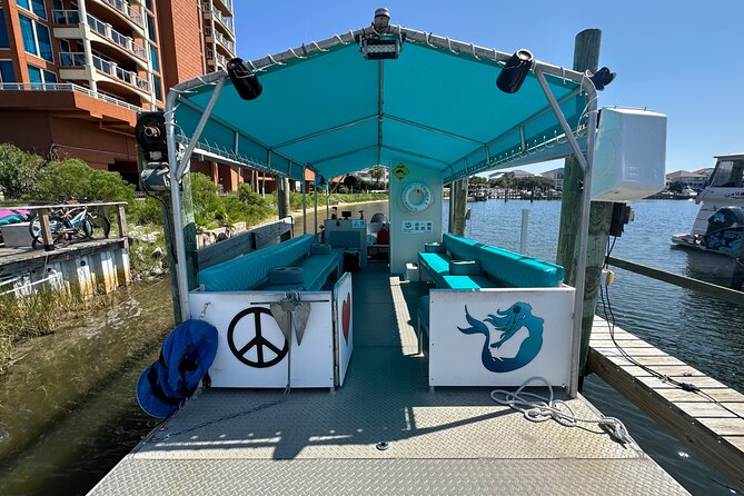 Frisky Mermaid Dolphin Tour + Secluded Beach + Equip - Families, Birthdays, and the Practical Details