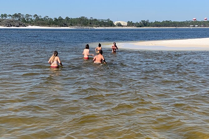Frisky Mermaid Dolphin Tour + Secluded Beach + Equip - Who Should Book This Private Pensacola Boat Trip?