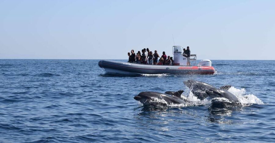 From Albufeira: Benagil Caves and Dolphins Guided Boat Tour - Entering the caves near Benagil