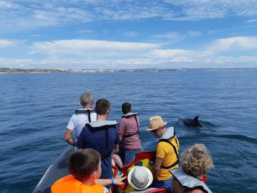 From Albufeira: Benagil Caves and Dolphins Guided Boat Tour - Is $35 good value?