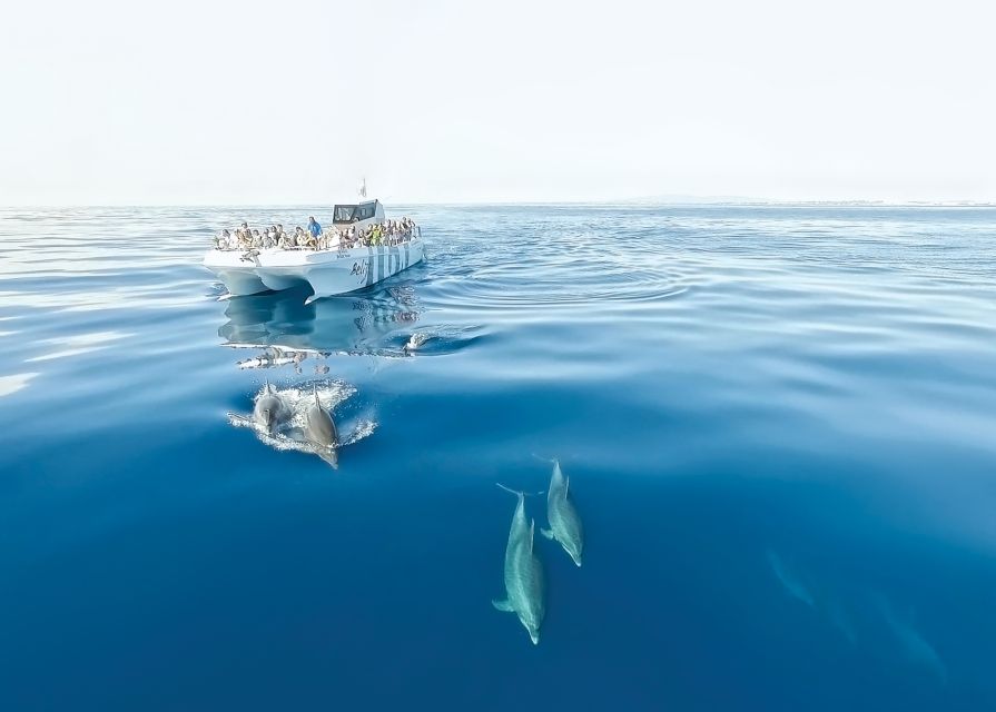 From Albufeira: Dolphins and Caves 2.5-Hour Boat Trip - Key points to know before you book