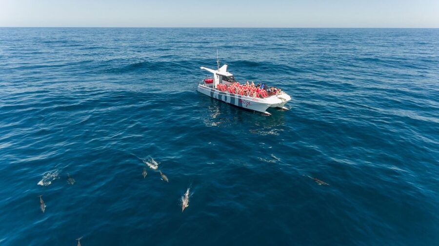 From Albufeira: Dolphins and Caves 2.5-Hour Boat Trip - Setting out from Albufeira Marina