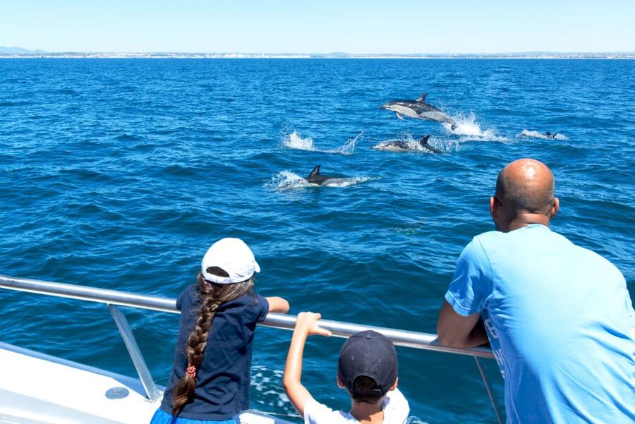 From Albufeira: Dolphins and Caves 2.5-Hour Boat Trip - Entering the Algarve caves and rock formations