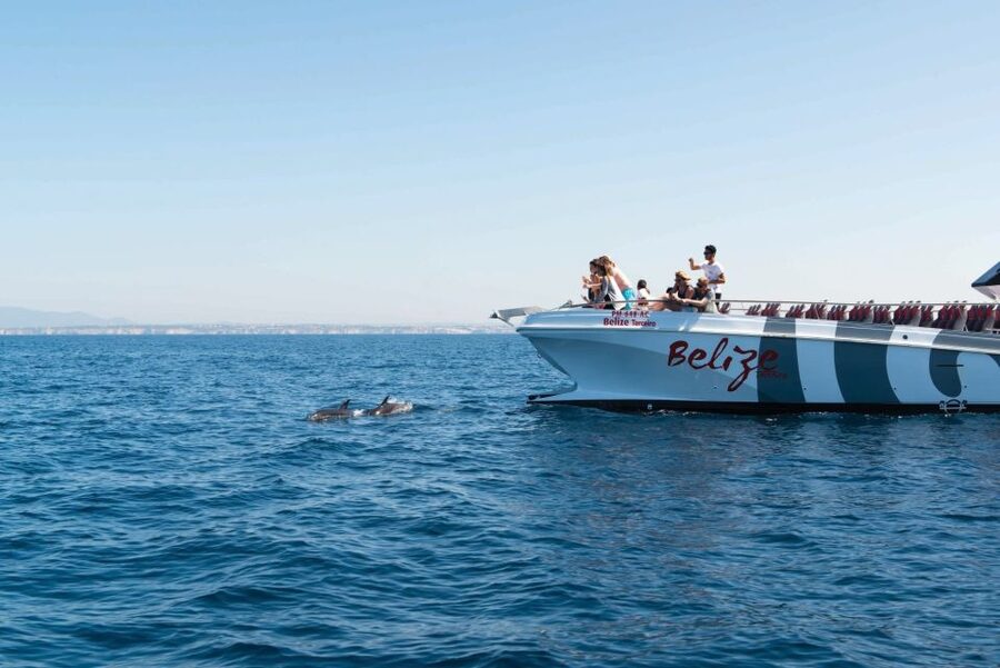 From Albufeira: Dolphins and Caves 2.5-Hour Boat Trip - Timing, weather, and family planning
