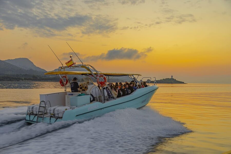 From Alcudia: Sunrise Dolphin Watching Boat Tour - Comfort, group size, and seasickness