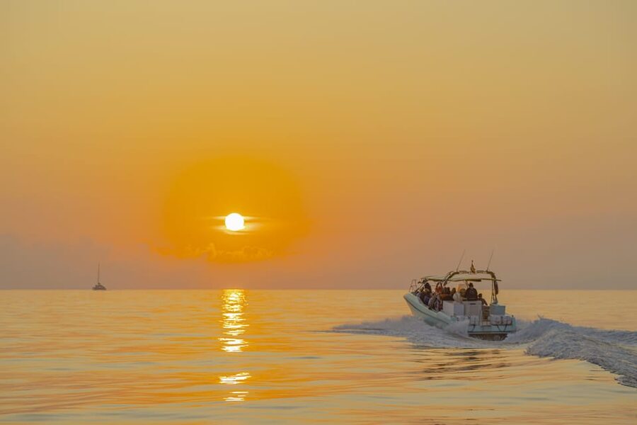 From Alcudia: Sunrise Dolphin Watching Boat Tour - What the $93 price includes