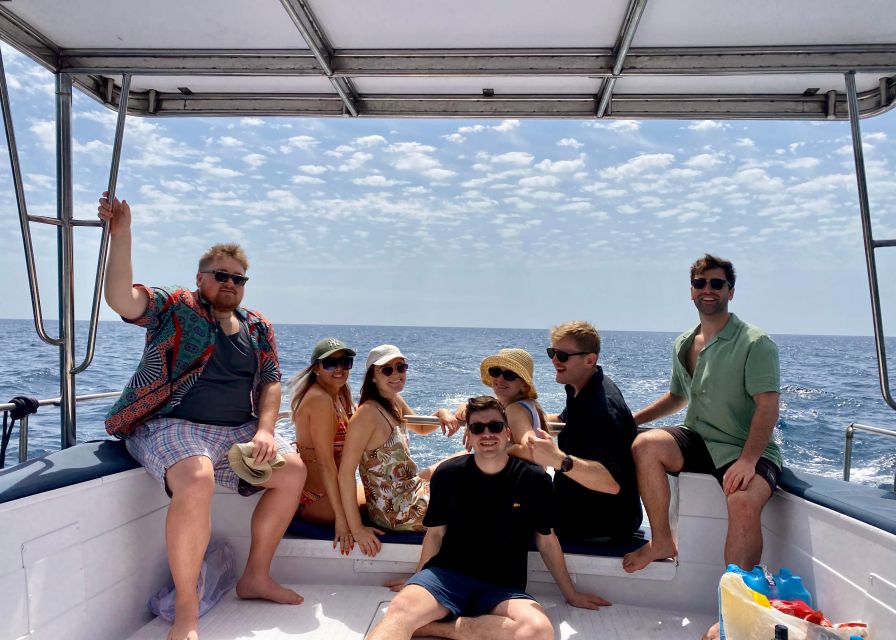 From Benalmádena & Torremolinos: Dolphin Watch Boat Trip - What this Benalmádena dolphin trip is really like