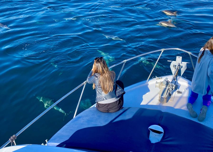 From Benalmádena & Torremolinos: Dolphin Watch Boat Trip - The first 30 minutes along Benalmádena