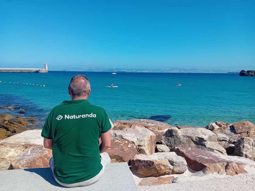 From Cádiz Bay: Tarifa Dolphin Watching Tour - Reaching Tarifa and the Strait of Gibraltar