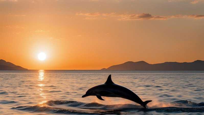 From Cagliari: sunset dolphin watching tour - Why this sunset boat trip works well