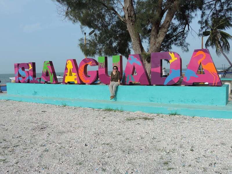 From Campeche: Isla Aguada Dolphin Encounter Tour - Key points at a glance