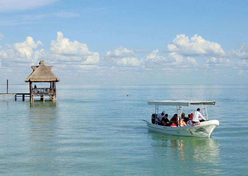 From Campeche: Isla Aguada Dolphin Encounter Tour - Isla de los Pájaros and the value of binoculars