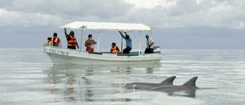 From Campeche: Isla Aguada Dolphin Encounter Tour - A swim on the sand