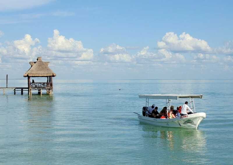 From Campeche: Isla Aguada Dolphin Encounter Tour - What the $193 price includes