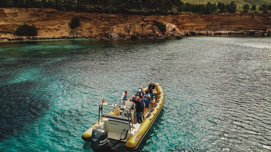 From Can Picafort: Dolphin Watching and Cave Boat Trip - Key points before you book