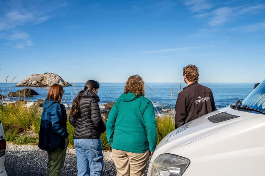 From Christchurch: Kaikōura Day Tour With Dolphin Encounter - Why Kaikōura makes such a good day trip