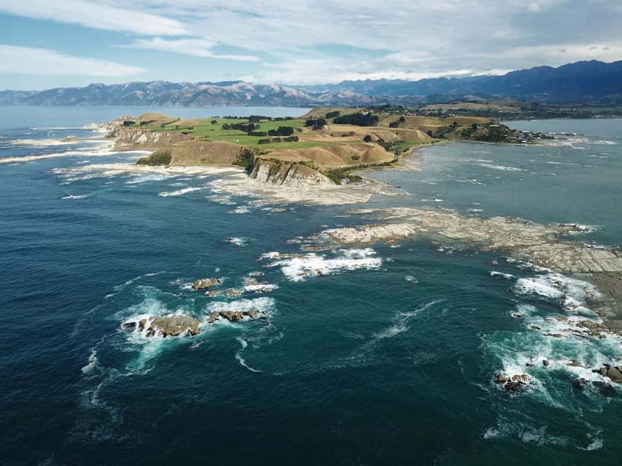 From Christchurch: Kaikōura Day Tour With Dolphin Encounter - Waipara wine country, if the clock allows