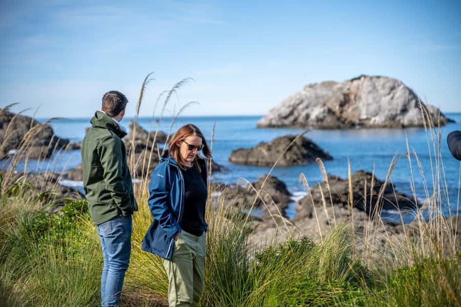 From Christchurch: Kaikōura Day Tour With Dolphin Encounter - Cheviot and the northern road