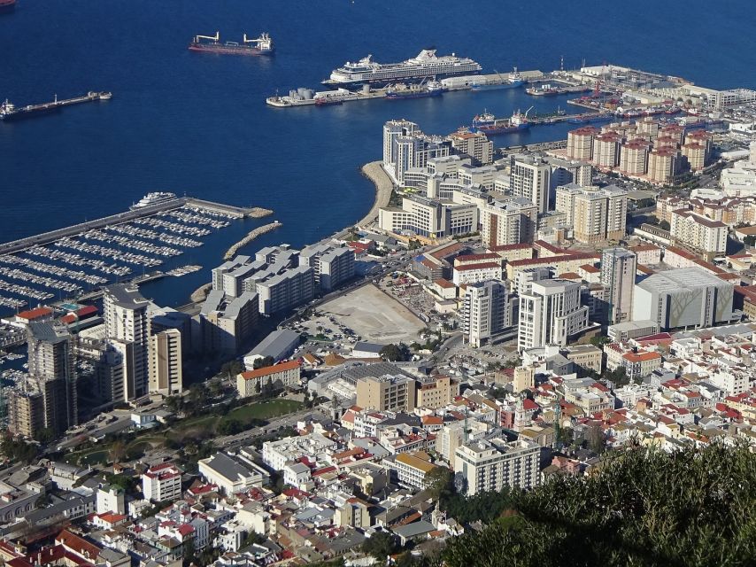 From Costa del Sol: Gibraltar Dolphin Watching by Boat - Should you book the dolphin trip?