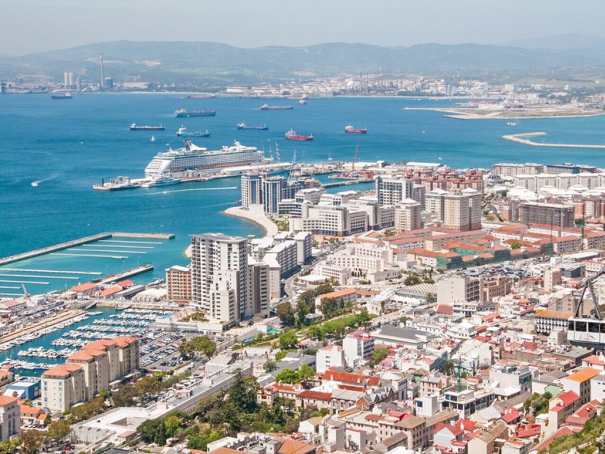 From Costa del Sol: Gibraltar Dolphin Watching by Boat - Why this Gibraltar day trip works