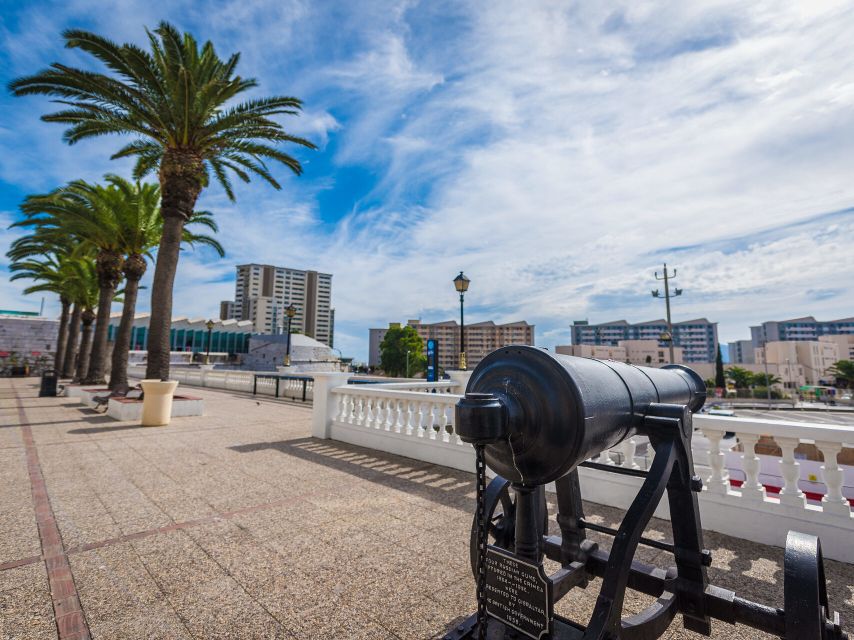 From Costa del Sol: Gibraltar Dolphin Watching by Boat - Crossing into Gibraltar