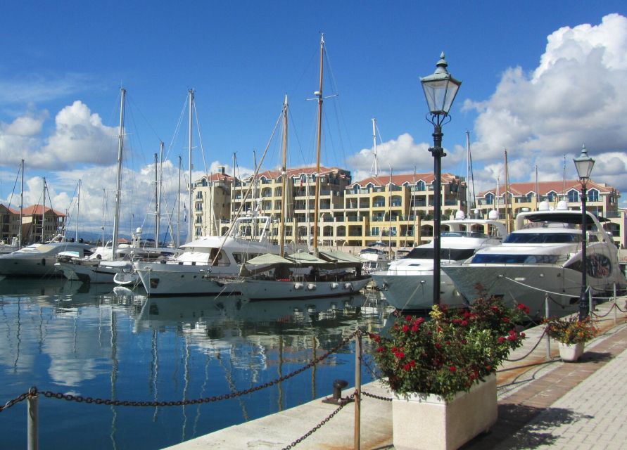 From Costa del Sol: Gibraltar Dolphin Watching by Boat - How much value do you get for $106?