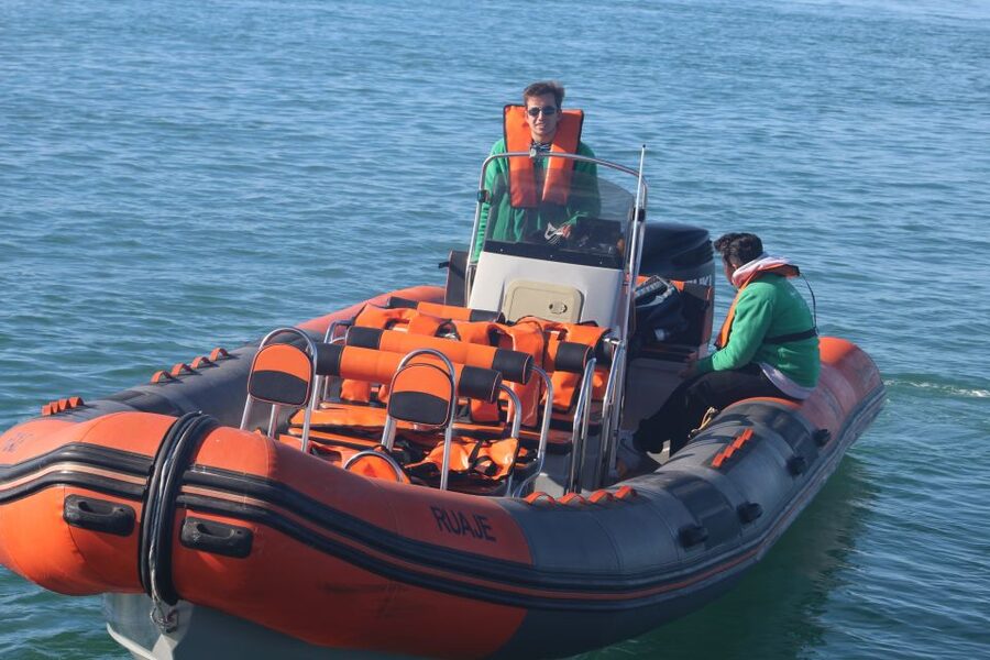 From Faro: Dolphin Watching & 2 Islands Tour - Searching for dolphins in the Atlantic