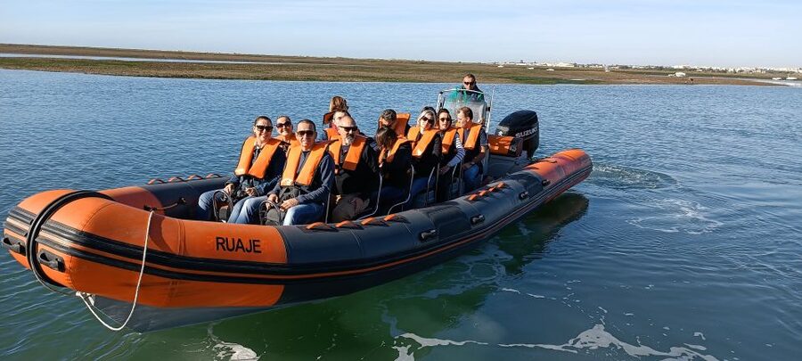 From Faro: Wildlife and Dolphin-Watching Speedboat Tour - Cape of St. Mary and the Atlantic crossing