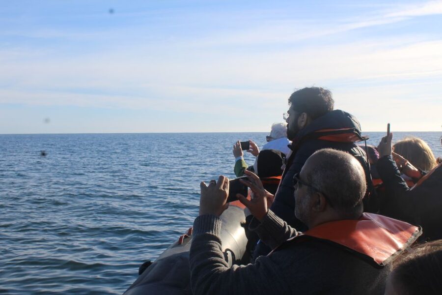 From Faro: Wildlife and Dolphin-Watching Speedboat Tour - Starting at Rua da Porta Nova in Faro