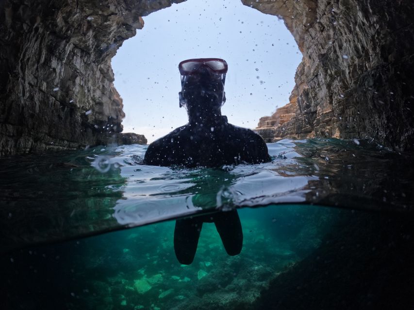 From Fazana: Dolphin watching and snorkeling in Blue Cave - Who should book this experience?