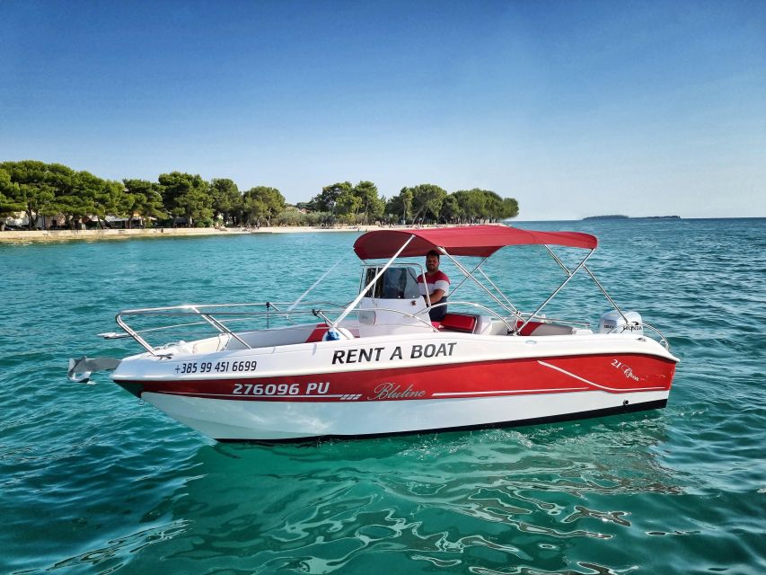 From Fazana: Private sunset dolphin tour - Should you book this sunset dolphin tour?