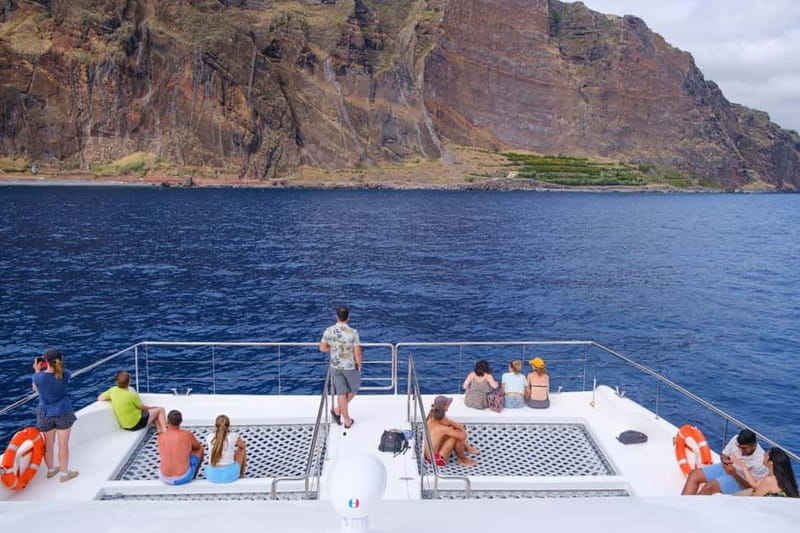 From Funchal: Ecological Catamaran Dolphin Whale Watching - Leaving Funchal Marina on a modern catamaran