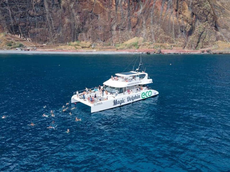 From Funchal: Ecological Catamaran Dolphin Whale Watching - What you see on the way back