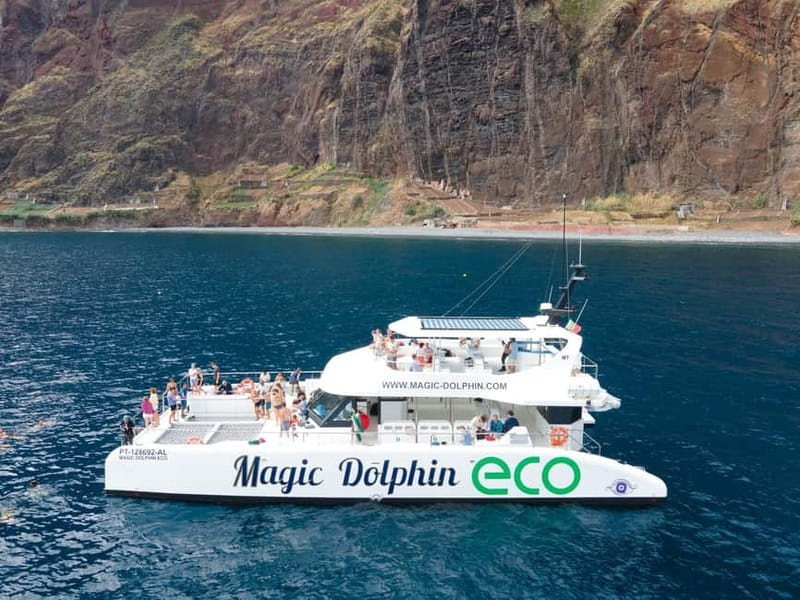 From Funchal: Ecological Catamaran Dolphin Whale Watching - The search for dolphins and whales offshore