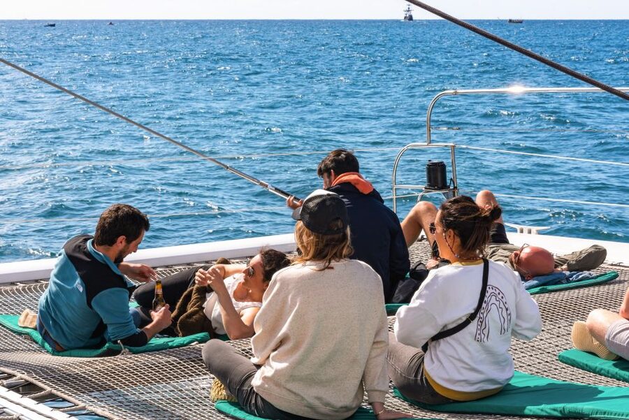 From Funchal: Madeira Dolphin and Whale Watching Tour - Should you book this Madeira whale and dolphin tour?