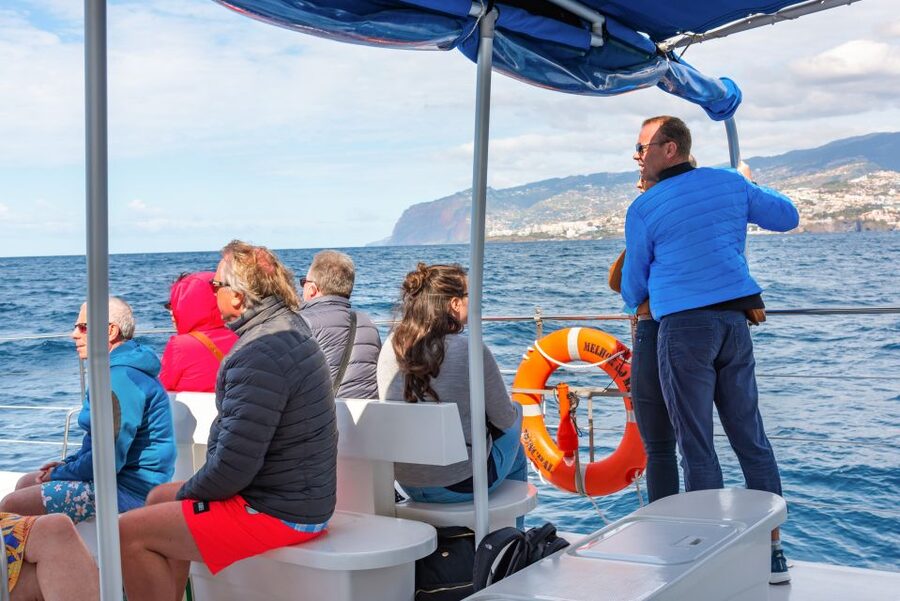 From Funchal: Madeira Dolphin and Whale Watching Tour - Who will enjoy this catamaran most?