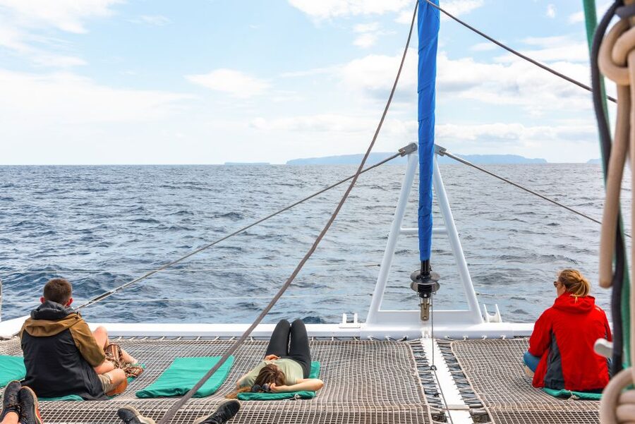 From Funchal: Madeira Dolphin and Whale Watching Tour - Booking timing and practical planning