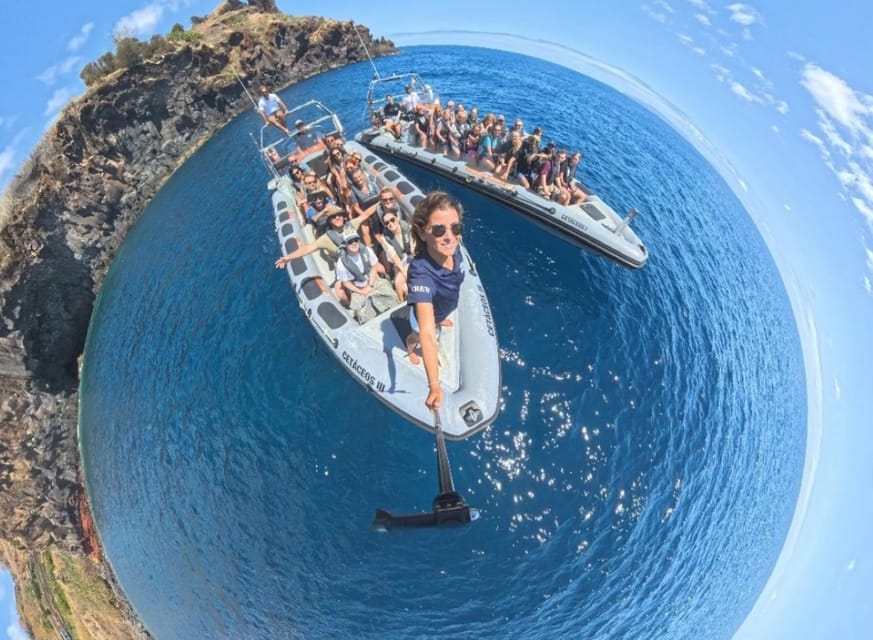 From Funchal: Whale and Dolphin Watching - Is swimming part of the trip?