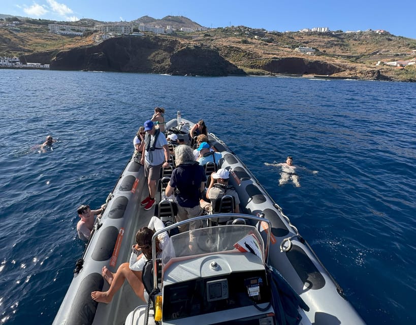From Funchal: Whale and Dolphin Watching - Price, value, and the small-boat advantage