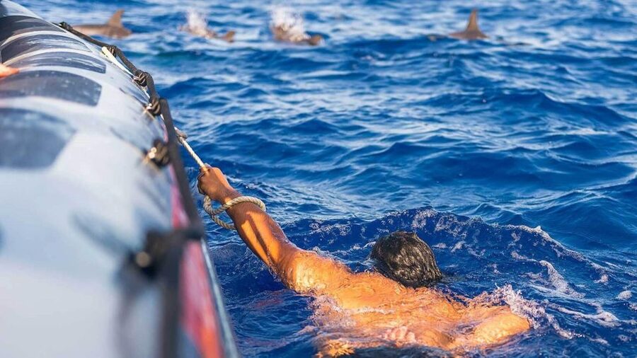 From Funchal: Whale and Dolphin Watching - Who will enjoy this trip most